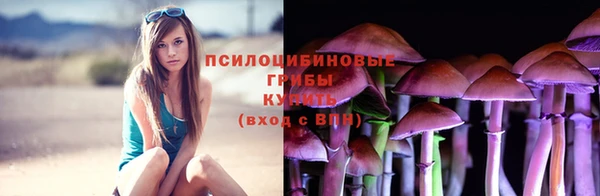 СК Медвежьегорск